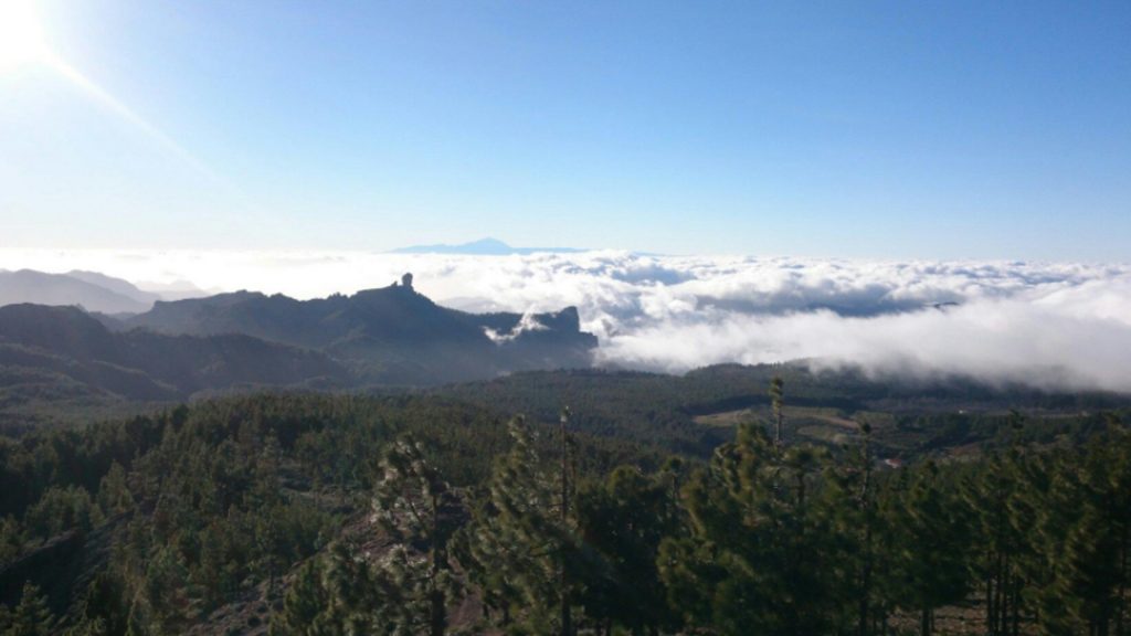 Rickaty Lodge B&B | Bed and Breakfast | Airport Shuttle Service | Las Palmas