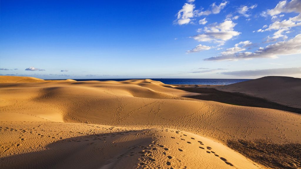 Rickaty Lodge B&B | Bed and Breakfast | Airport Shuttle Service | Las Palmas