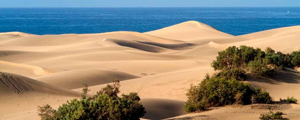 Rickaty Lodge B&B | Bed and Breakfast | Airport Shuttle Service | Las Palmas