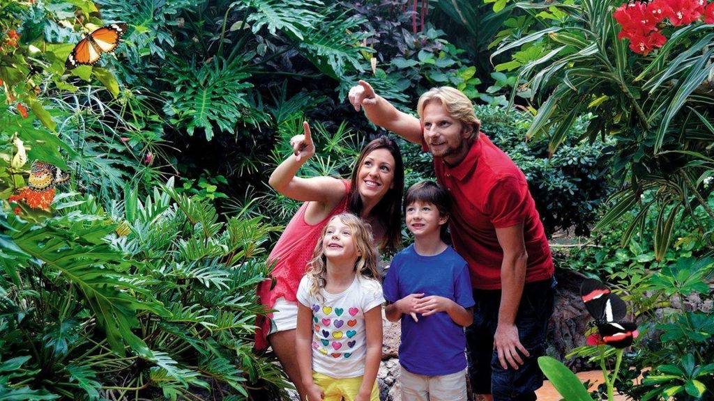 Rickaty Lodge B&B | Bed and Breakfast | Airport Shuttle Service | Las Palmas