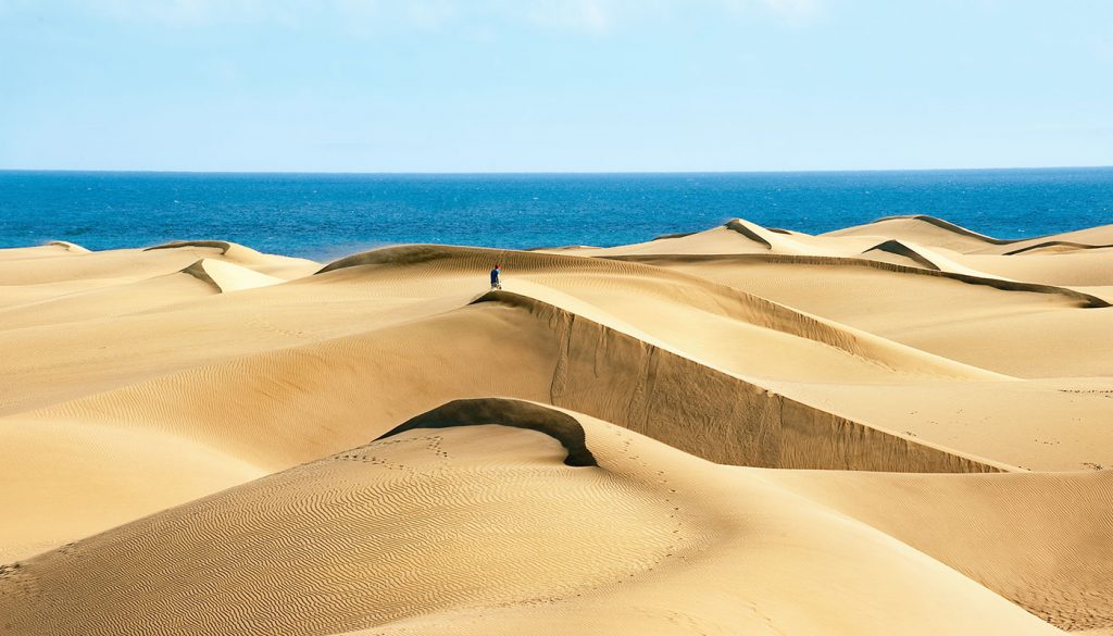 Rickaty Lodge B&B | Bed and Breakfast | Airport Shuttle Service | Las Palmas